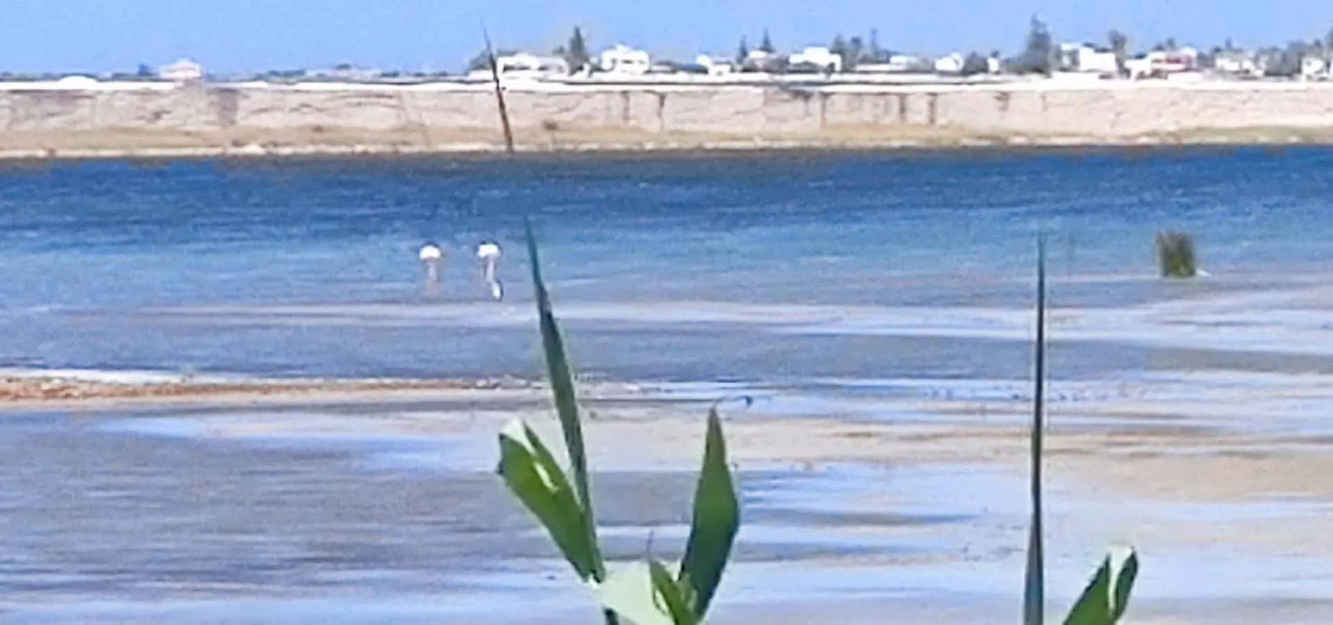 La Rosa Dei Venti Daire Mazara del Vallo